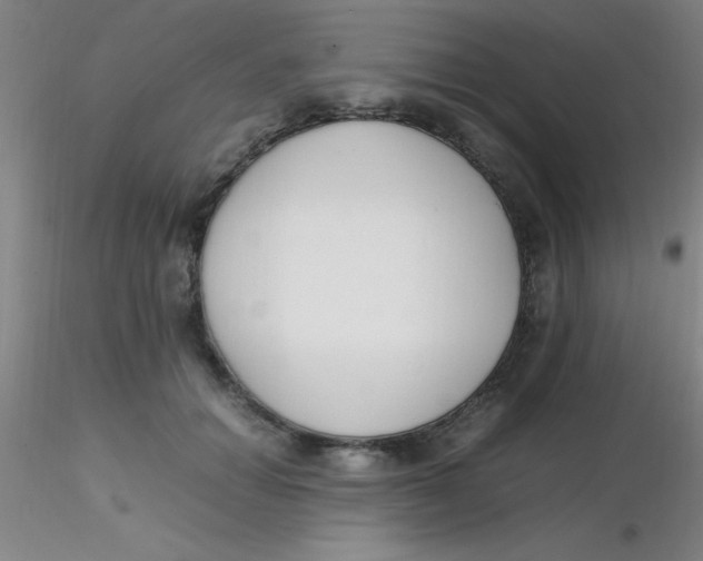 X0000116290654200912211841