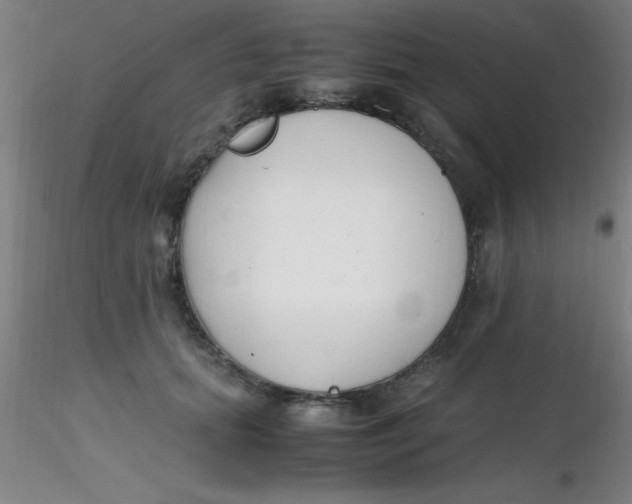 X0000116290655200912211841