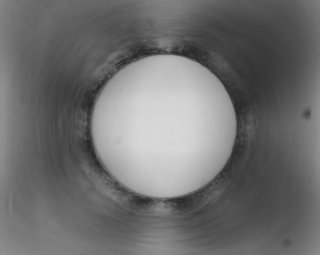 X0000116290656200912211841