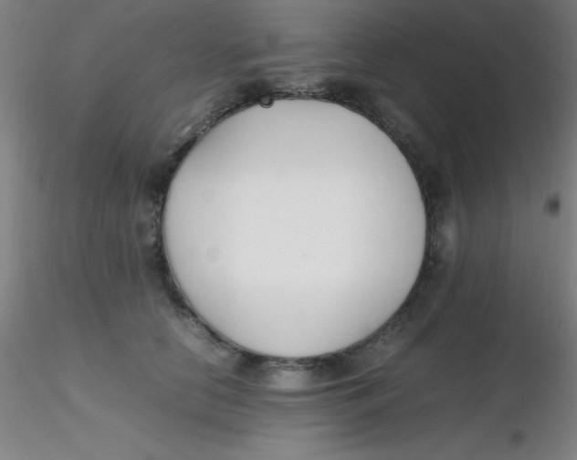 X0000116290658200912211841