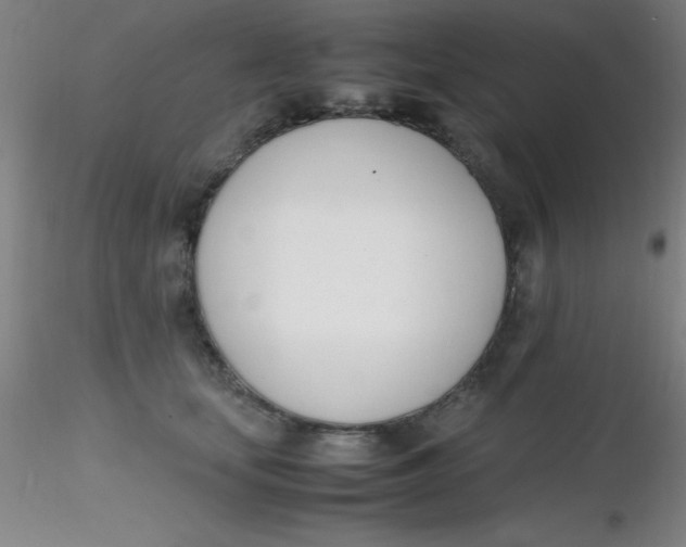 X0000116290659200912211841