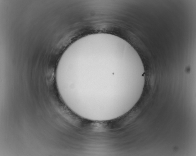 X0000116290660200912211841