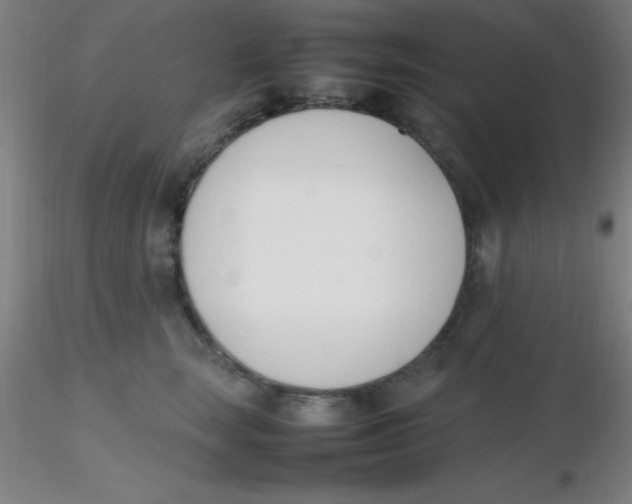 X0000116290663200912211842