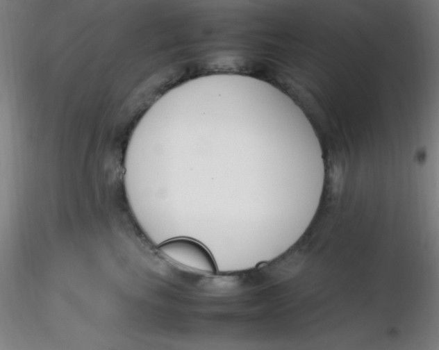 X0000116290665200912211842