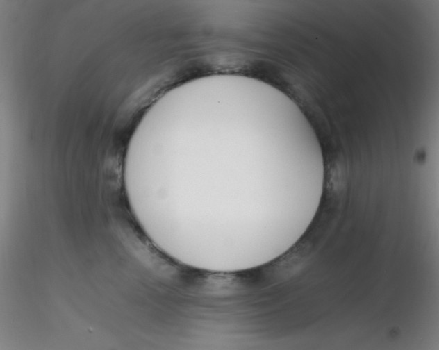 X0000116290666200912211842