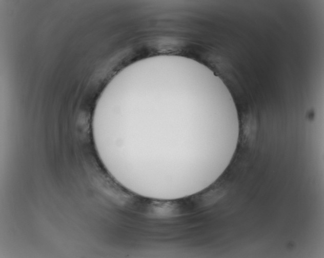 X0000116290667200912211842