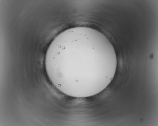 X0000116290668200912211842