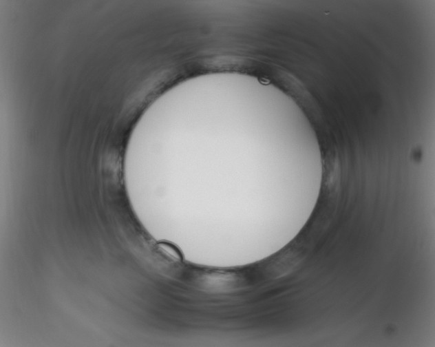 X0000116290669200912211842