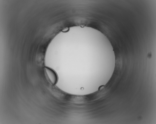 X0000116290671200912211842