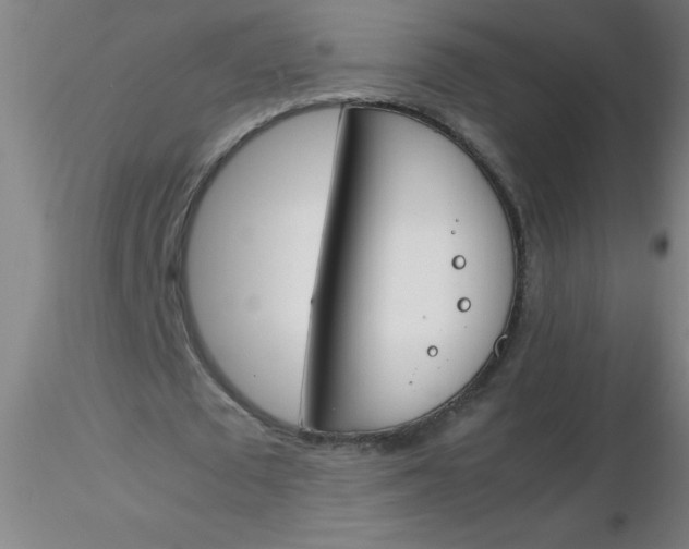 X0000116290673200912211841