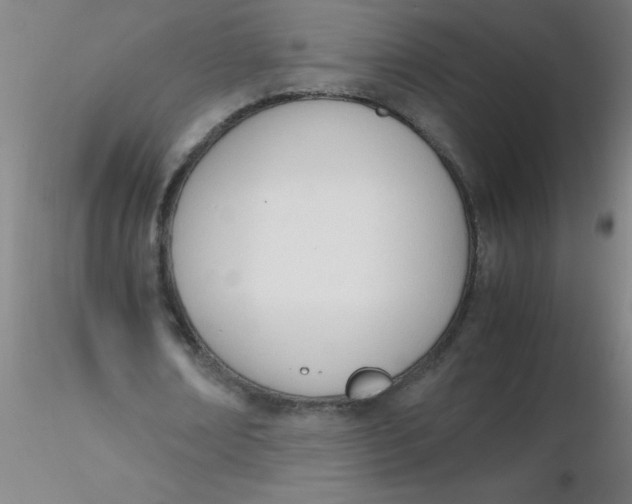 X0000116290674200912211841