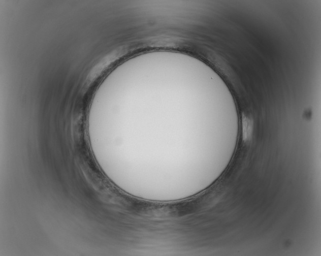 X0000116290675200912211841