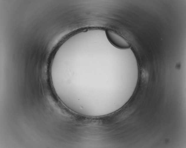 X0000116290676200912211841