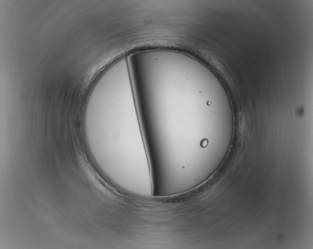 X0000116290677200912211841