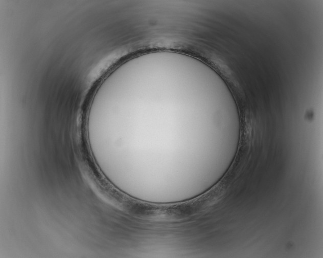 X0000116290678200912211841