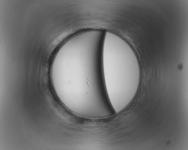 X0000116290679200912211841