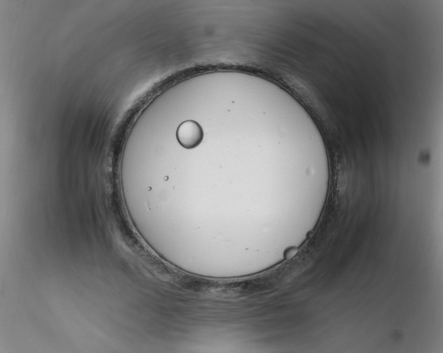 X0000116290680200912211841