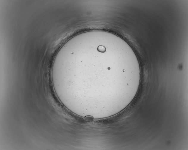 X0000116290681200912211841