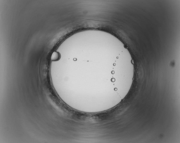 X0000116290683200912211841