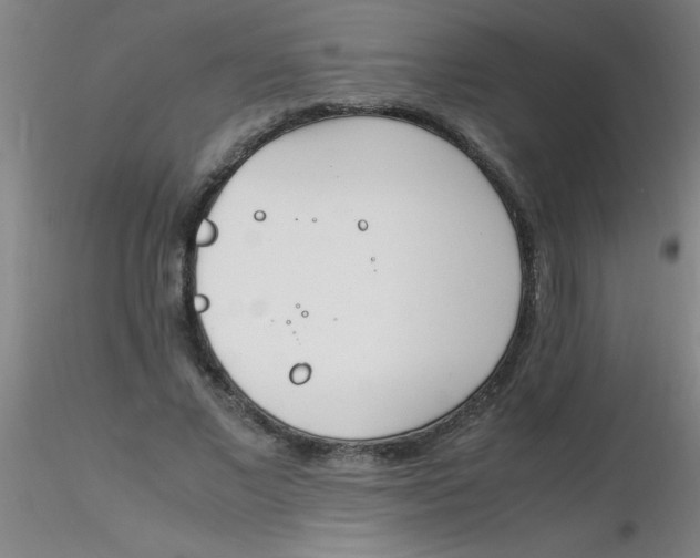 X0000116290685200912211841