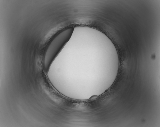 X0000116290688200912211841