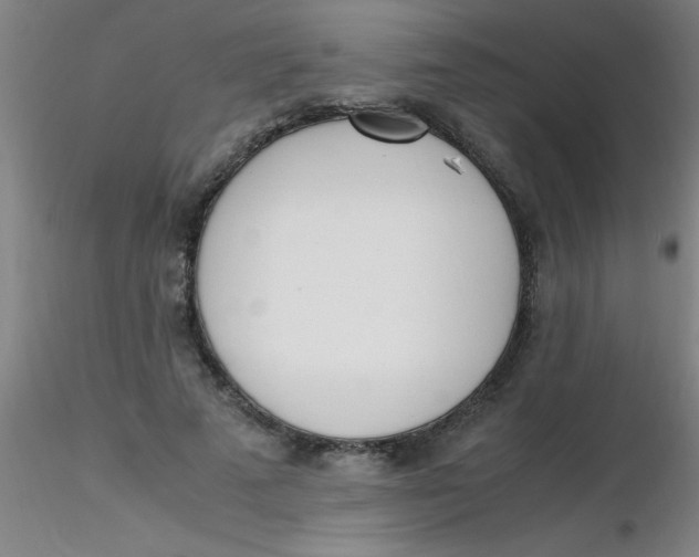 X0000116290689200912211841