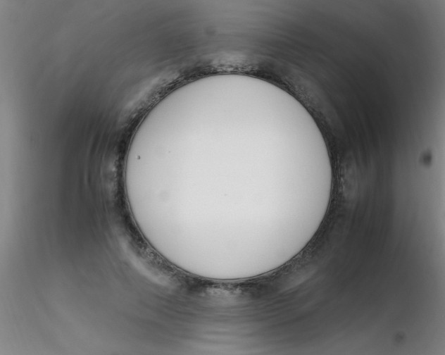 X0000116290690200912211841