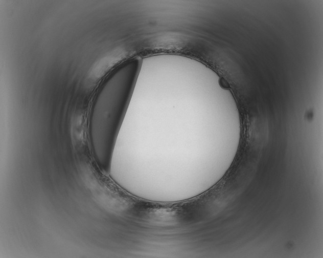 X0000116290692200912211841