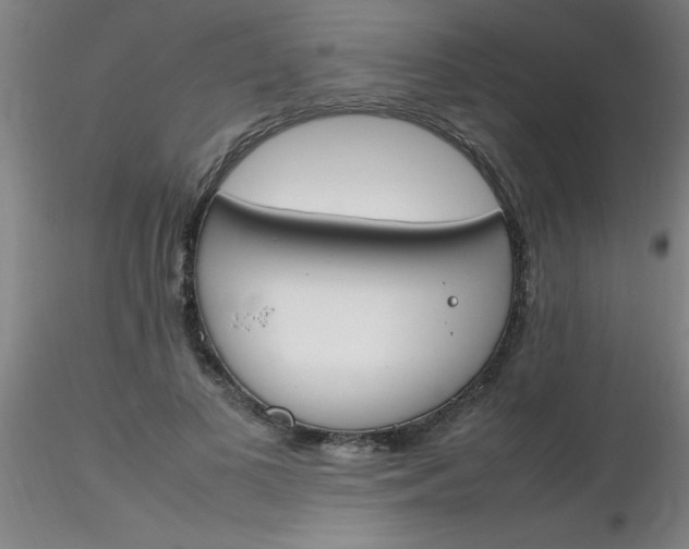 X0000116290693200912211841