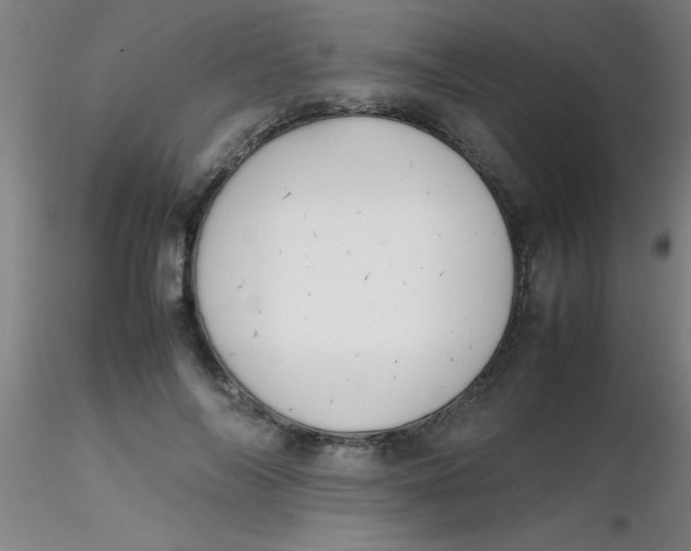 X0000116290694200912211841