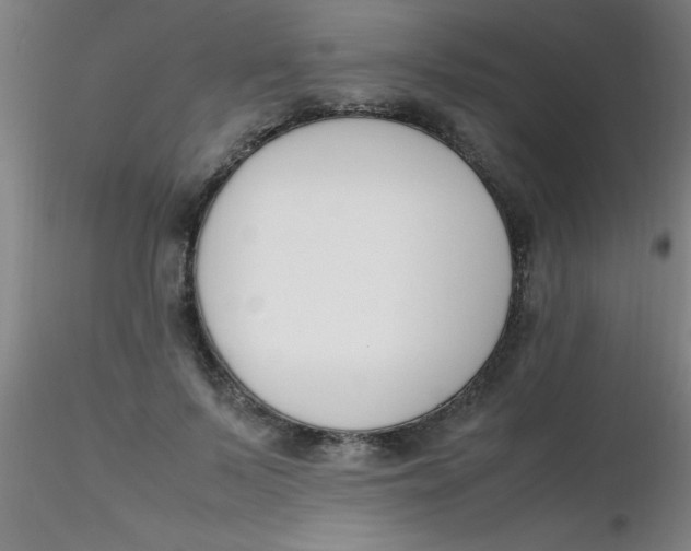 X0000116290695200912211841