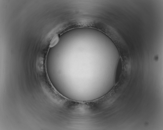 X0000116290696200912211841