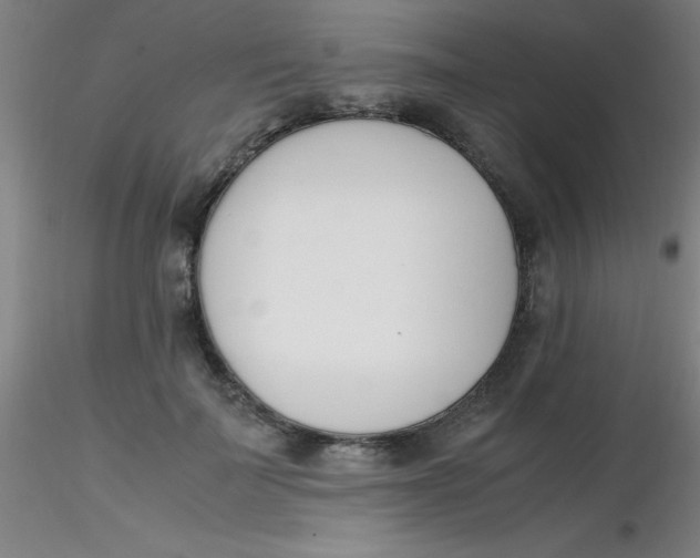 X0000116290699200912211841