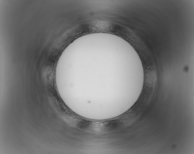 X0000116290701200912211841