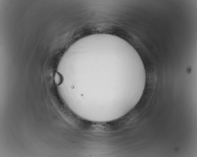 X0000116290703200912211841