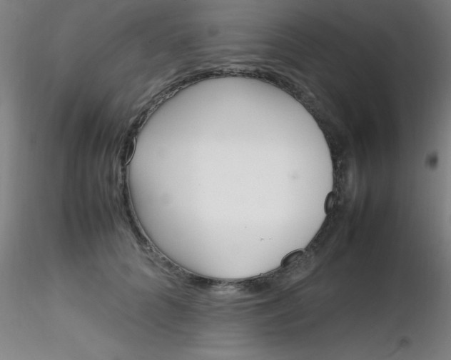 X0000116290704200912211841