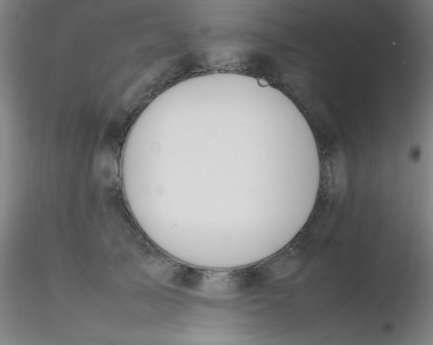 X0000116290705200912211841