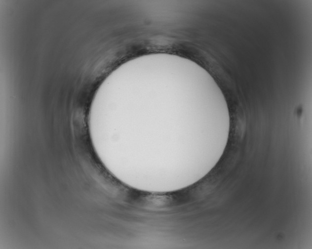 X0000116290711200912211840