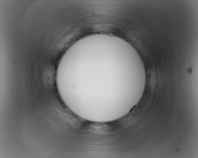 X0000116290712200912211840