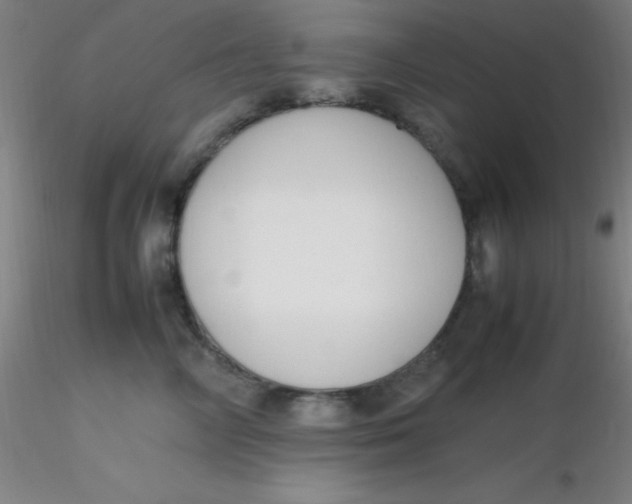 X0000116290714200912211840