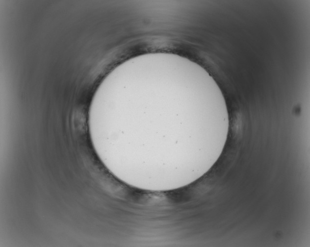 X0000116290715200912211840