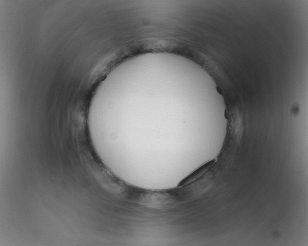 X0000116290716200912211840