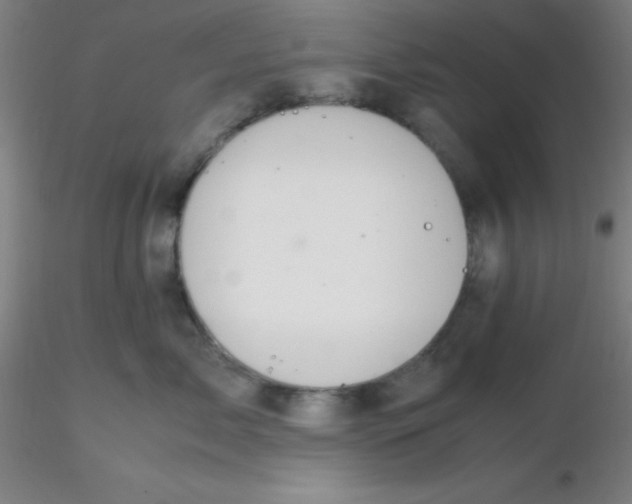 X0000116290717200912211840