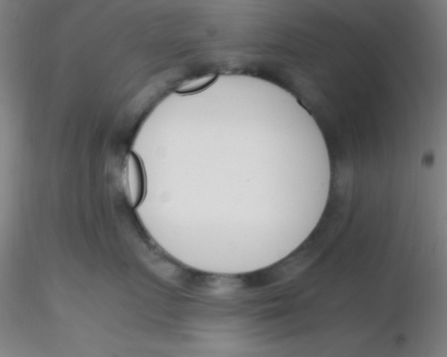 X0000116290719200912211840