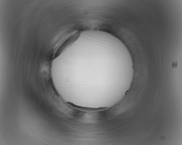 X0000116290720200912211840