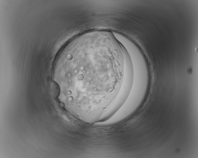 X0000116290721200912211840