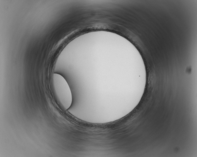 X0000116290722200912211840