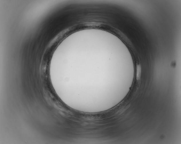 X0000116290723200912211840