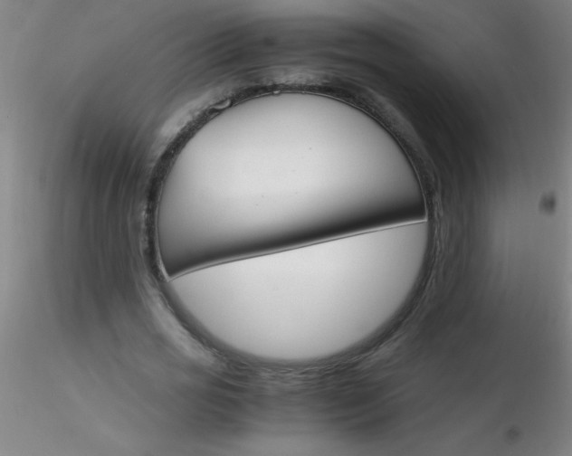 X0000116290725200912211840