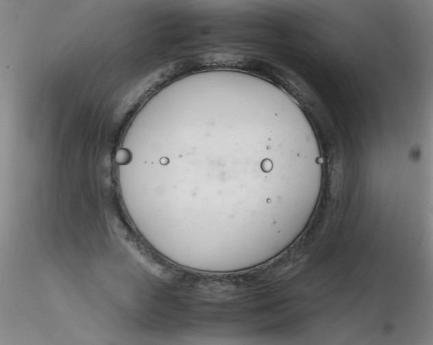 X0000116290729200912211840